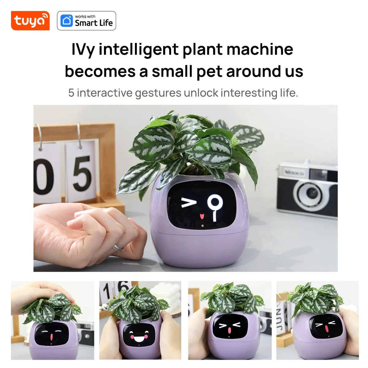 BloomBot: A smart flower pot with AI and expressive emotions