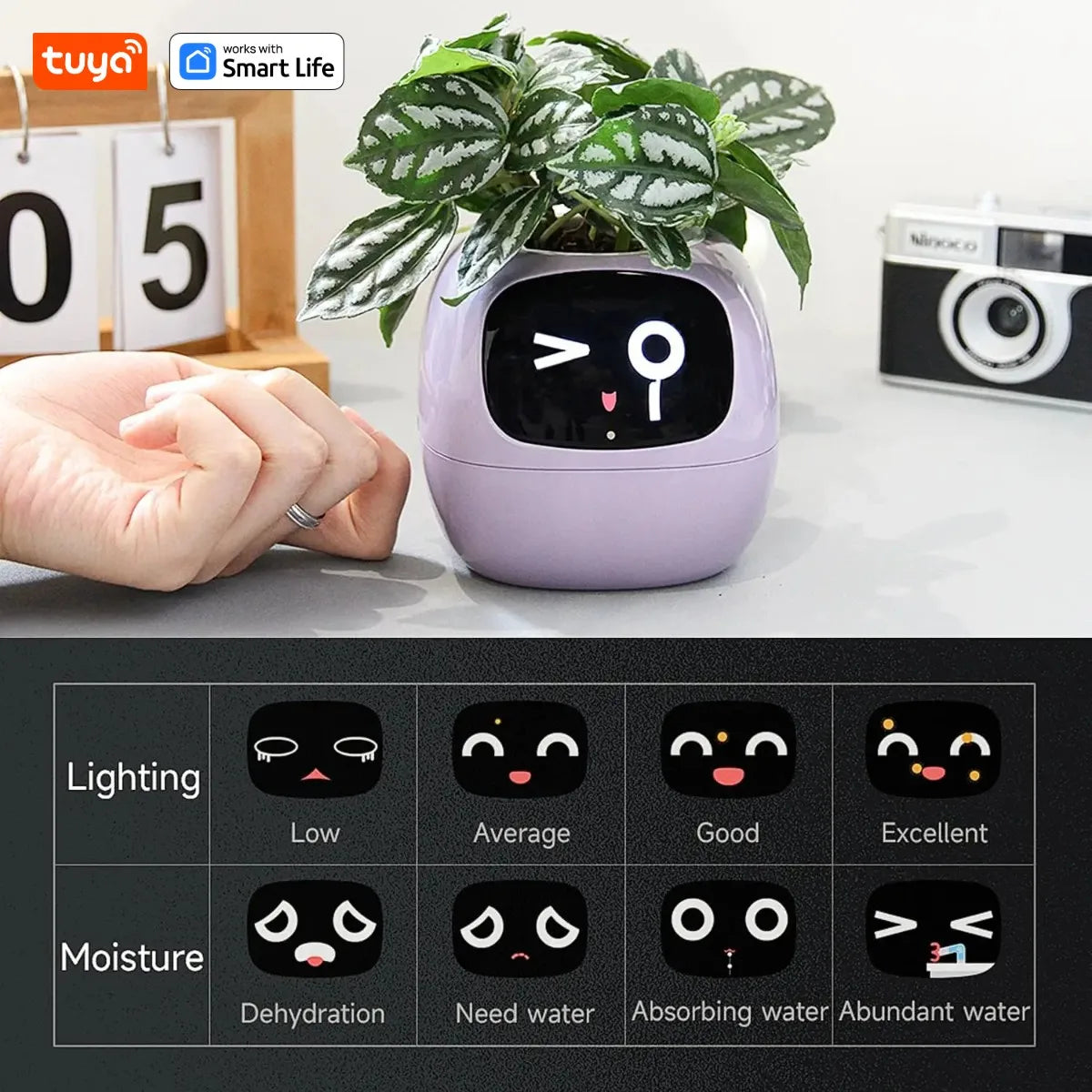 BloomBot: A smart flower pot with AI and expressive emotions