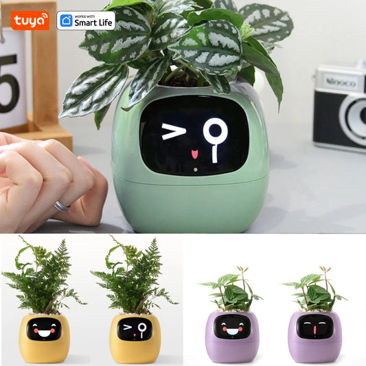 BloomBot: A smart flower pot with AI and expressive emotions